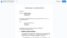 Laden Sie das Bild in den Galerie-Viewer, Arbeitsvertrag-Schaffnerin-Nicht-Eisenbahn