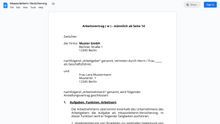 Laden Sie das Bild in den Galerie-Viewer, Arbeitsvertrag-Inkassoleiterin-Versicherung