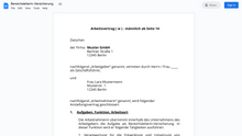 Laden Sie das Bild in den Galerie-Viewer, Arbeitsvertrag-Bereichsleiterin-Versicherung