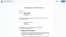 Laden Sie das Bild in den Galerie-Viewer, Arbeitsvertrag-Versicherungsmaklerin
