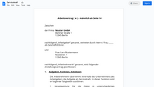 Laden Sie das Bild in den Galerie-Viewer, Arbeitsvertrag-Servicekraft