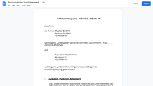 Laden Sie das Bild in den Galerie-Viewer, Arbeitsvertrag-Psychologischer Psychotherapeut
