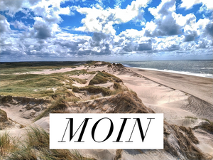 Poster "Moin" Wandgestaltung / zum Download - [tags]