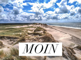 Poster "Moin" Wandgestaltung / zum Download - [tags]